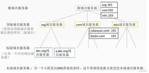 DNS域名解析系統 計算機網絡的地址簿