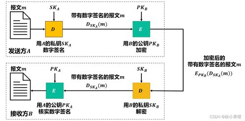 計算機網絡之網絡安全 守護數字世界的無形防線