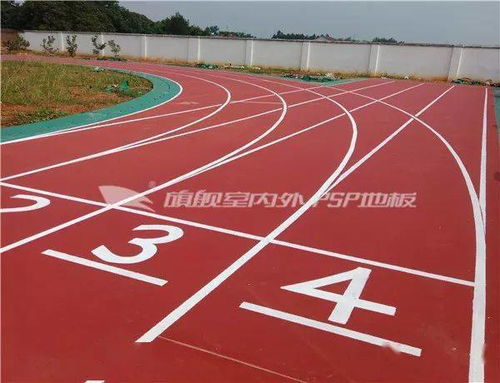 國體旗艦丨旗艦環(huán)保PSP卷材跑道 塑膠場地預(yù)制型跑道卷材新選擇